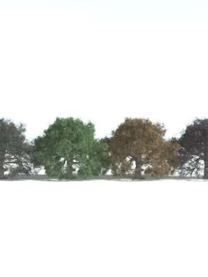 everyplant-english-oak-5-15-models-3d-model-c1bc08dd46