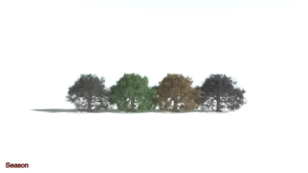 EVERYPlant English Oak 5 --15 Models--