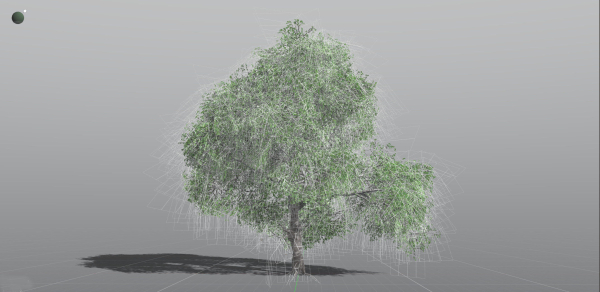 EVERYPlant English Oak LowPoly 3 --15 Models--