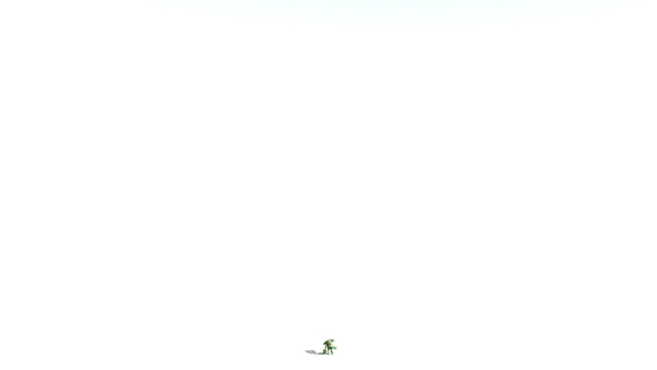 EVERYPlant English Oak LowPoly 3 --15 Models--