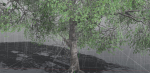 EVERYPlant English Oak LowPoly 3 --15 Models--
