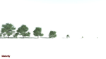 EVERYPlant English Oak LowPoly 3 --15 Models--