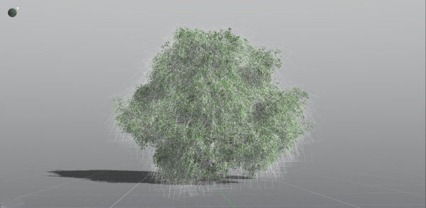 EVERYPlant English Oak LowPoly 5 --15 Models--