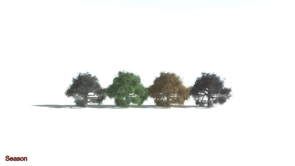 EVERYPlant English Oak LowPoly 5 --15 Models--