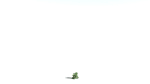 EVERYPlant English Oak LowPoly 5 --15 Models--