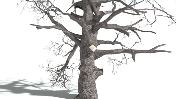 EVERYPlant English Oak LowPoly 5 --15 Models--