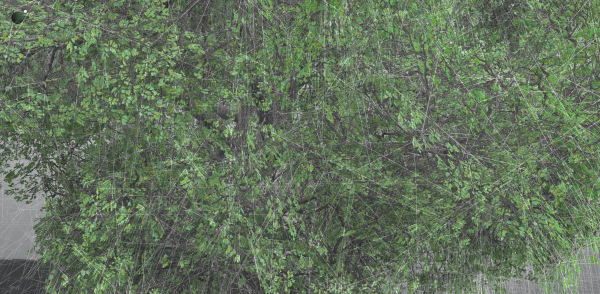 EVERYPlant English Oak LowPoly 5 --15 Models--