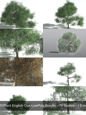 EVERYPlant English Oak LowPoly Bundle --75 Models--