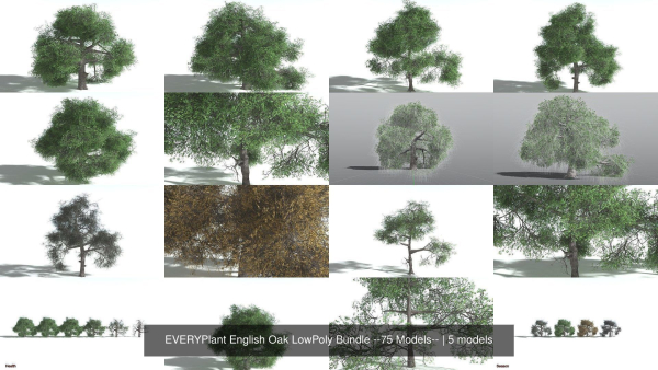 EVERYPlant English Oak LowPoly Bundle --75 Models--