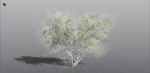 EVERYPlant European Hazel 3 --15 Models--