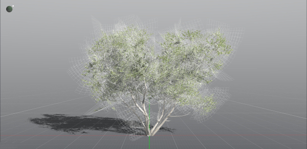 EVERYPlant European Hazel 3 --15 Models--