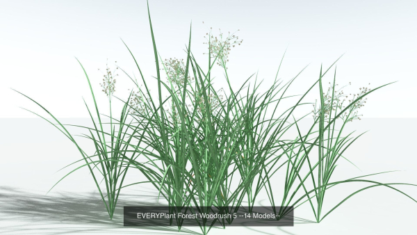 EVERYPlant European Oak Forest Biome Pack 5 --168 Models--