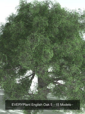everyplant-european-oak-forest-biome-pack-5-168-models-3d-model-184f277b79