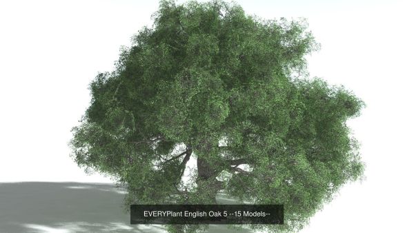 EVERYPlant European Oak Forest Biome Pack 5 --168 Models--