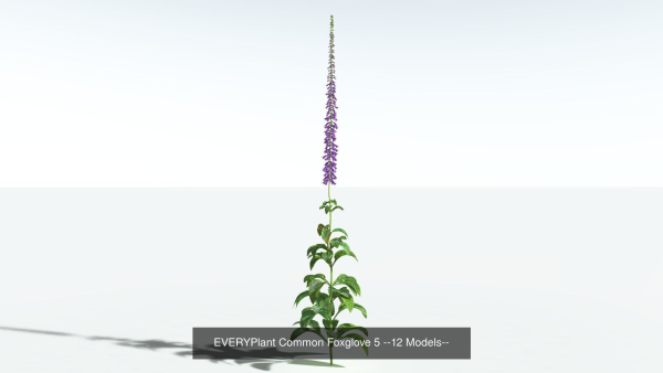 EVERYPlant European Oak Forest Biome Pack 5 --168 Models--