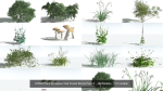 EVERYPlant European Oak Forest Biome Pack 5 --168 Models--