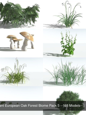 EVERYPlant European Oak Forest Biome Pack 5 --168 Models--