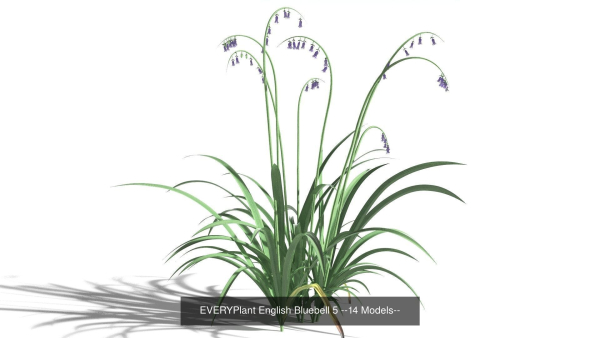 EVERYPlant European Oak Forest Biome Pack 5 --168 Models--