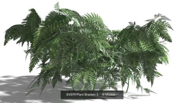 EVERYPlant European Oak Forest Biome Pack 5 --168 Models--