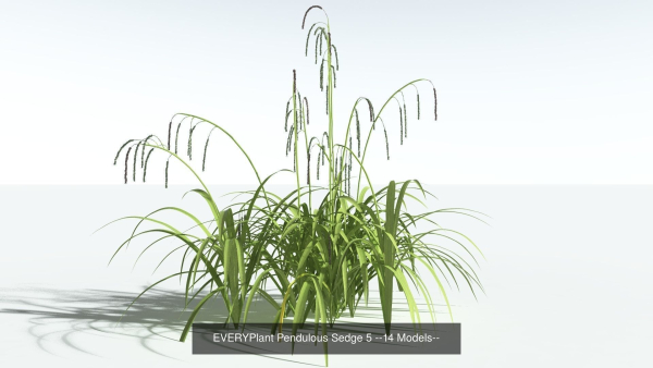EVERYPlant European Oak Forest Biome Pack 5 --168 Models--