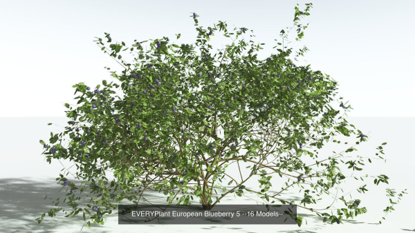 EVERYPlant European Oak Forest Biome Pack 5 --168 Models--