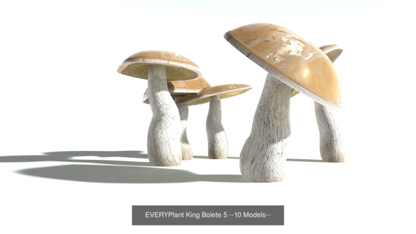 EVERYPlant European Oak Forest Biome Pack 5 --168 Models--