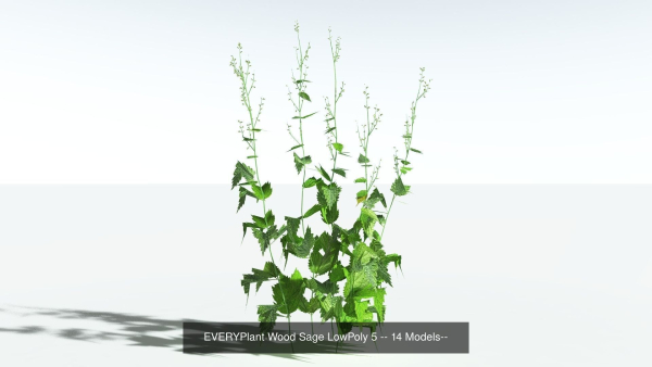 EVERYPlant European Oak Forest LP Biome Pack 5 --168 Models--