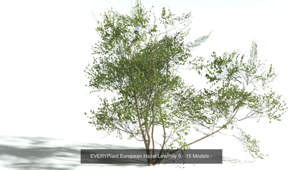 EVERYPlant European Oak Forest LP Biome Pack 5 --168 Models--