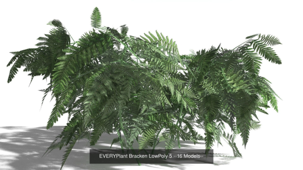 EVERYPlant European Oak Forest LP Biome Pack 5 --168 Models--