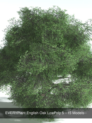 everyplant-european-oak-forest-lp-biome-pack-5-168-models-3d-model-5d21943a29