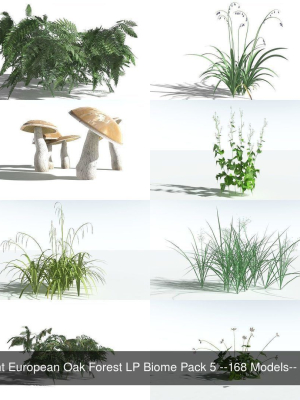 EVERYPlant European Oak Forest LP Biome Pack 5 --168 Models--