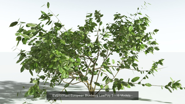 EVERYPlant European Oak Forest LP Biome Pack 5 --168 Models--