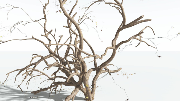 EVERYPlant Japanese Maple 1 --18 Models--