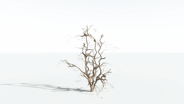 EVERYPlant Japanese Maple 4 --18 Models--