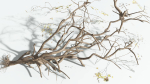 EVERYPlant Japanese Maple 4 --18 Models--
