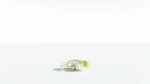 EVERYPlant Japanese Maple LowPoly 2 --18 Models--