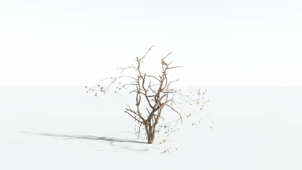 EVERYPlant Japanese Maple LowPoly 2 --18 Models--