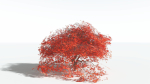 EVERYPlant Japanese Maple LowPoly 2 --18 Models--
