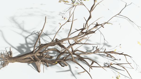 EVERYPlant Japanese Maple LowPoly 2 --18 Models--