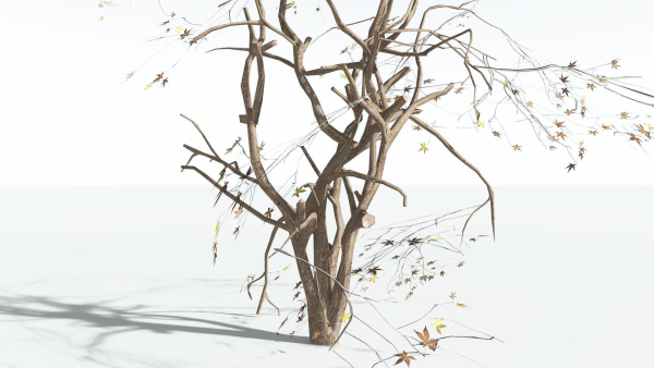 EVERYPlant Japanese Maple LowPoly 2 --18 Models--