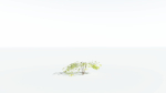 EVERYPlant Japanese Maple LowPoly 4 --18 Models--