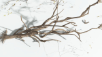 EVERYPlant Japanese Maple LowPoly 4 --18 Models--