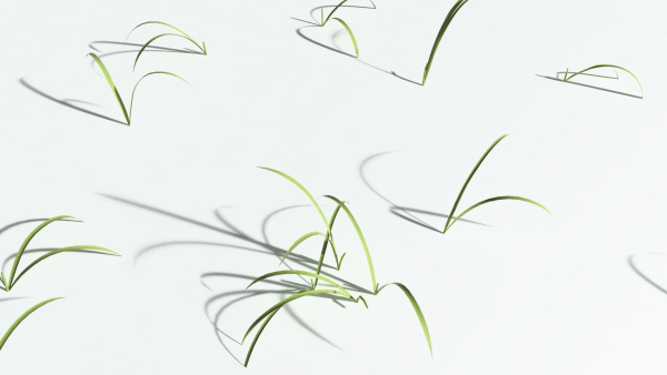 EVERYPlant Pendulous Sedge 2 --14 Models--
