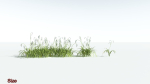EVERYPlant Pendulous Sedge 2 --14 Models--