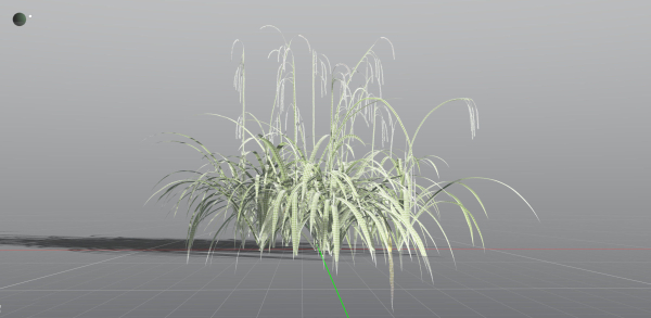 EVERYPlant Pendulous Sedge 2 --14 Models--