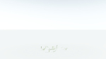 EVERYPlant Pendulous Sedge 2 --14 Models--