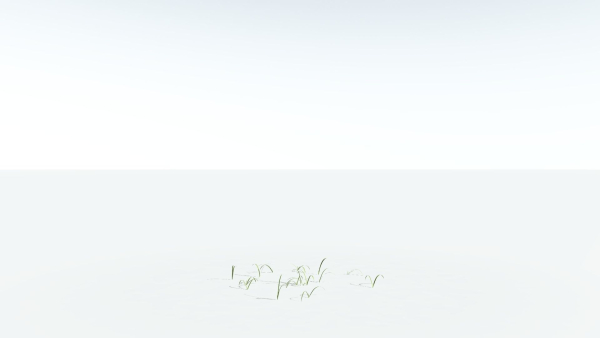 EVERYPlant Pendulous Sedge 2 --14 Models--