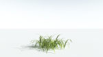 EVERYPlant Pendulous Sedge 2 --14 Models--