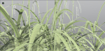EVERYPlant Pendulous Sedge 2 --14 Models--