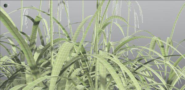 EVERYPlant Pendulous Sedge 2 --14 Models--